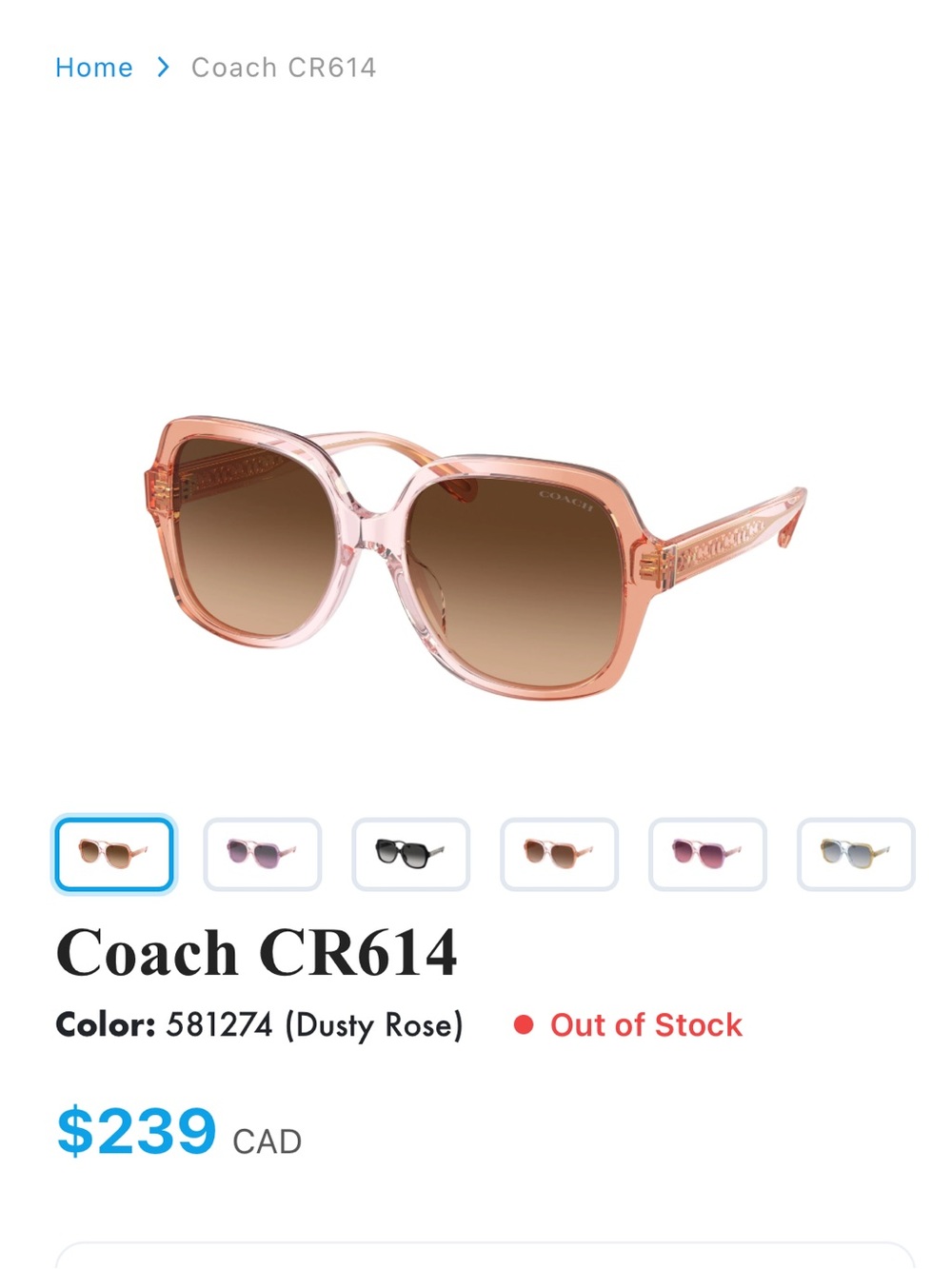 Sunglasses - Picture 5 of 5